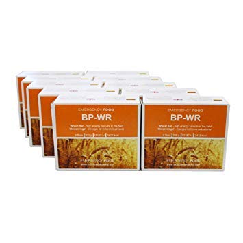 BP-WR Emergency Food 10 x 500 Gramm Langzeitnahrung High Energy Biscuits