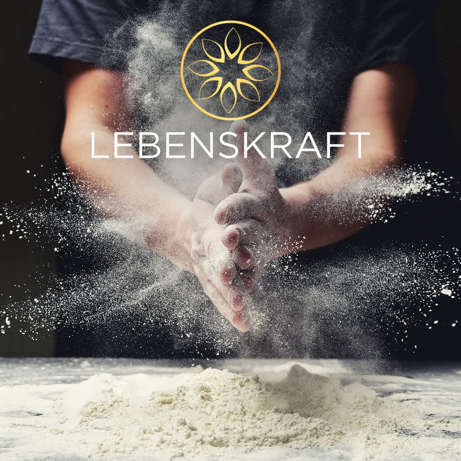 Lebenskraft Schokokuchen